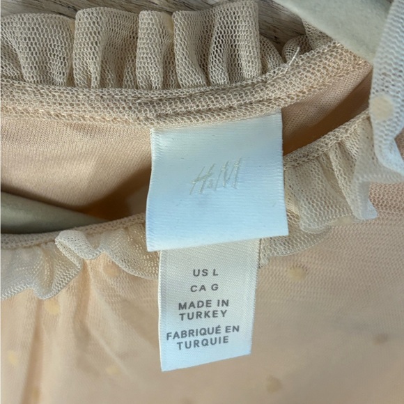 Blush Tulle Tiered Sheer Sleeve Babydoll Dress NWOT - Picture 12 of 16